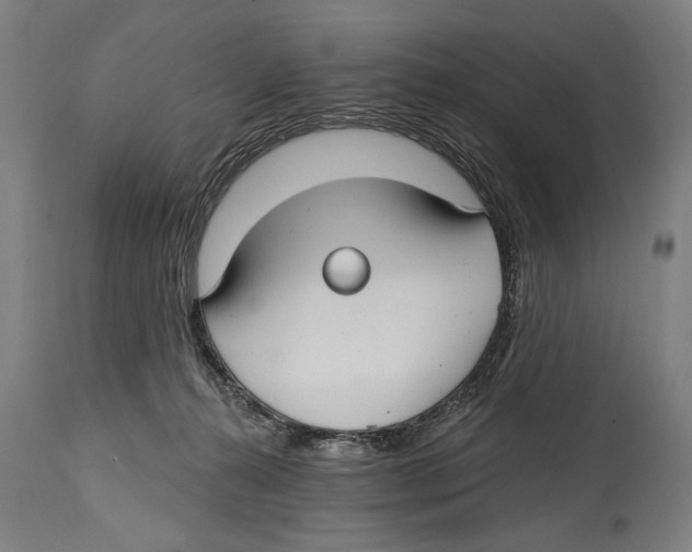 X0000114440272200911131522