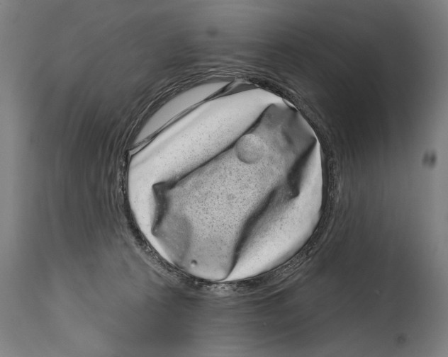X0000114440273200911131522