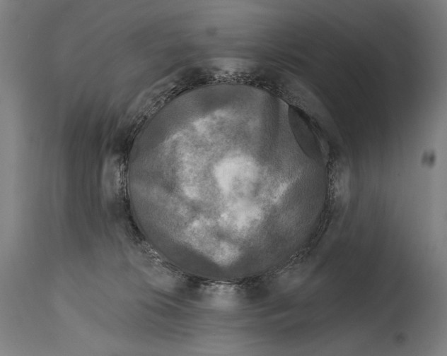 X0000114440276200911131522