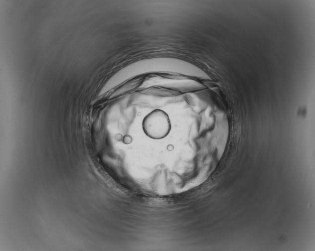 X0000114440281200911131522