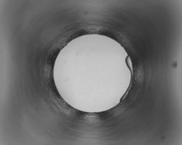 X0000114440283200911131522