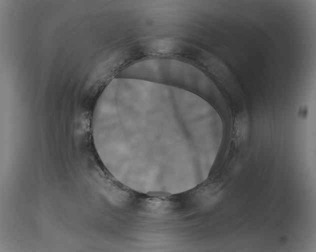 X0000114440284200911131522