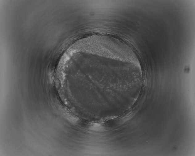 X0000114440285200911131522