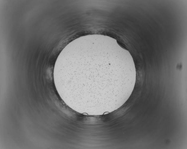 X0000114440286200911131522
