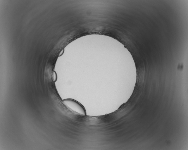 X0000114440287200911131522