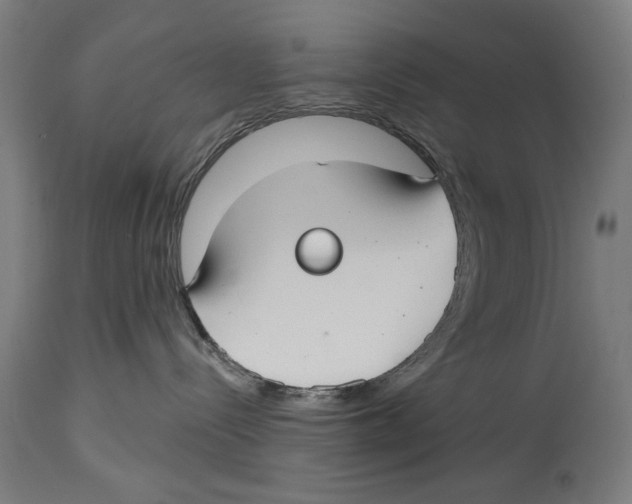 X0000114440288200911131522