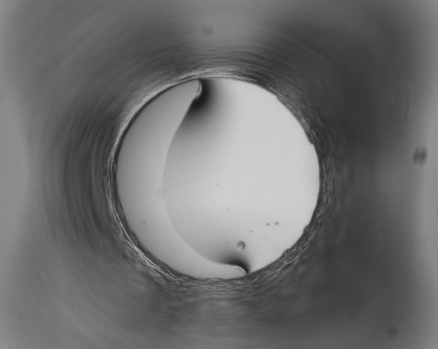 X0000114440289200911131522