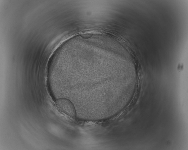 X0000114440290200911131522