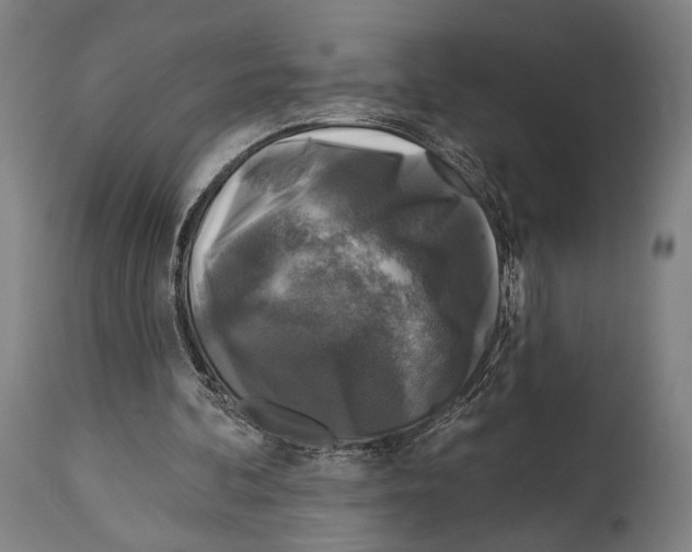 X0000114440292200911131522