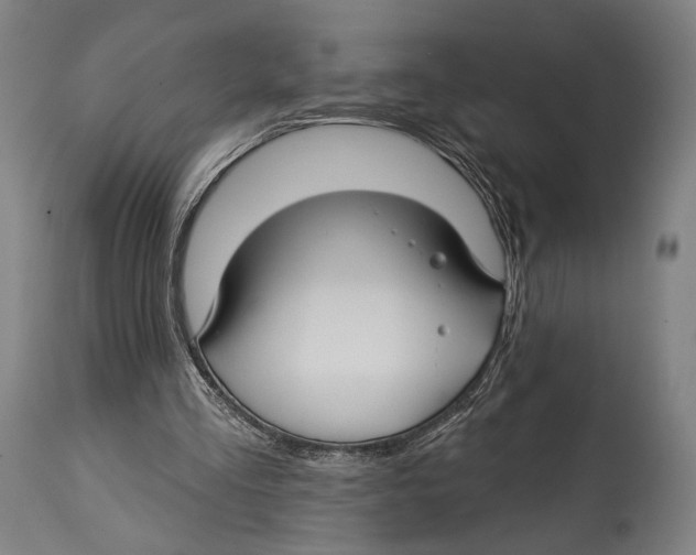 X0000114440293200911131522