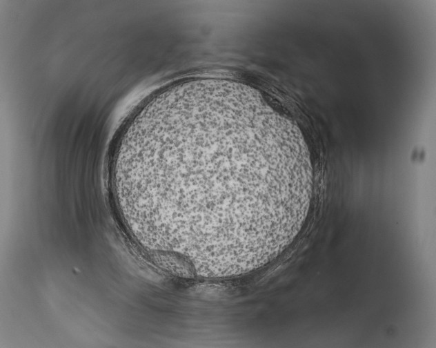 X0000114440294200911131522