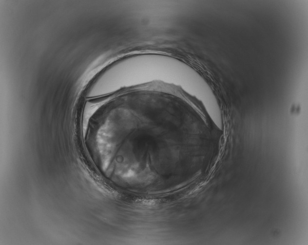 X0000114440295200911131522