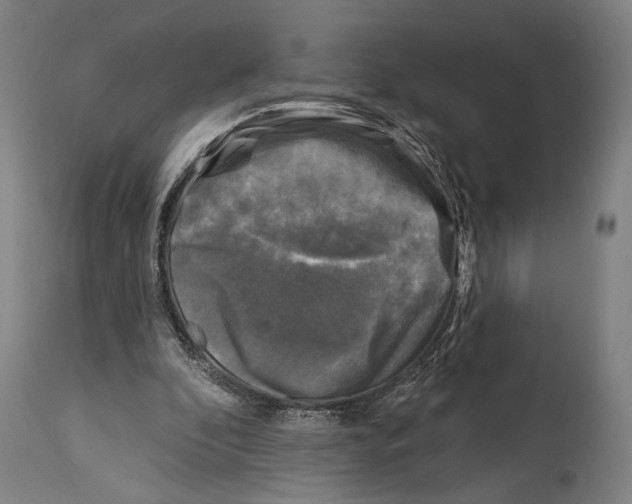 X0000114440296200911131522