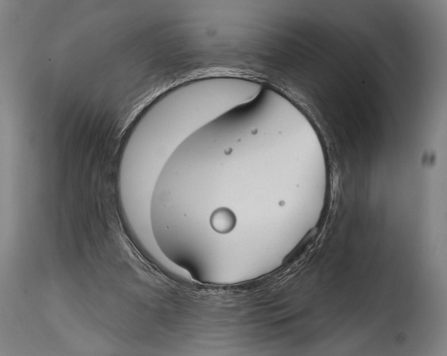 X0000114440297200911131522