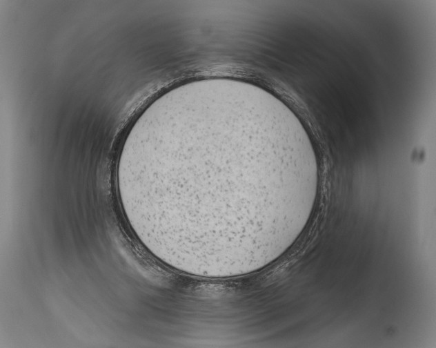 X0000114440298200911131522