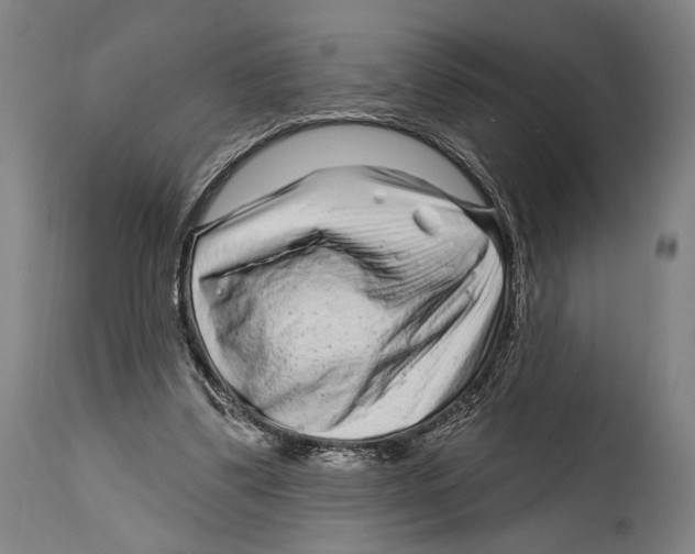 X0000114440299200911131522