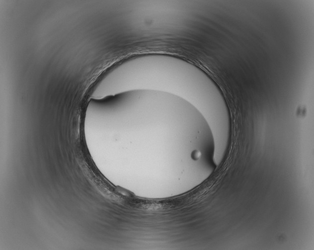X0000114440301200911131522