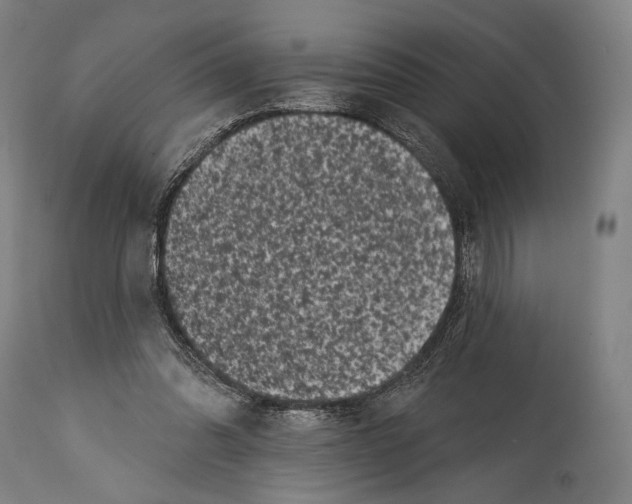 X0000114440302200911131522