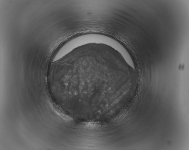 X0000114440303200911131521