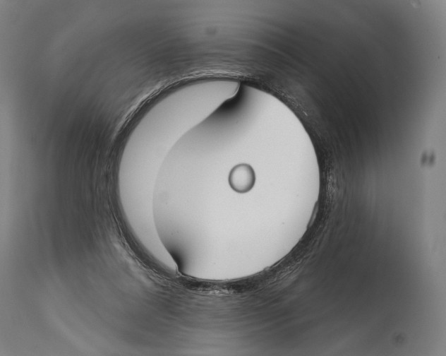 X0000114440304200911131521