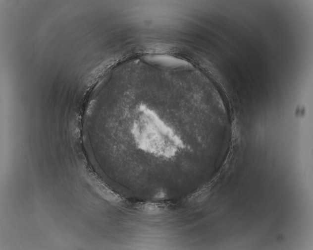 X0000114440305200911131521