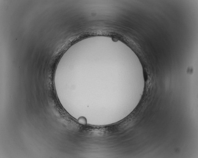 X0000114440306200911131521