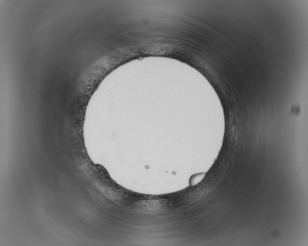 X0000114440307200911131521