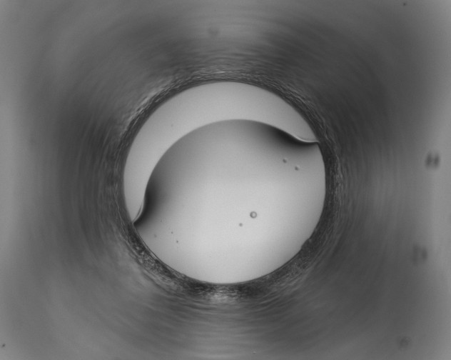 X0000114440308200911131521