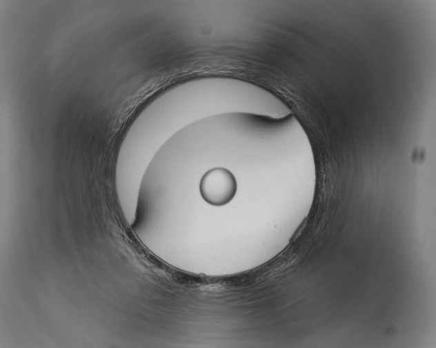 X0000114440309200911131521