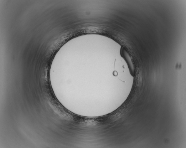 X0000114440310200911131521