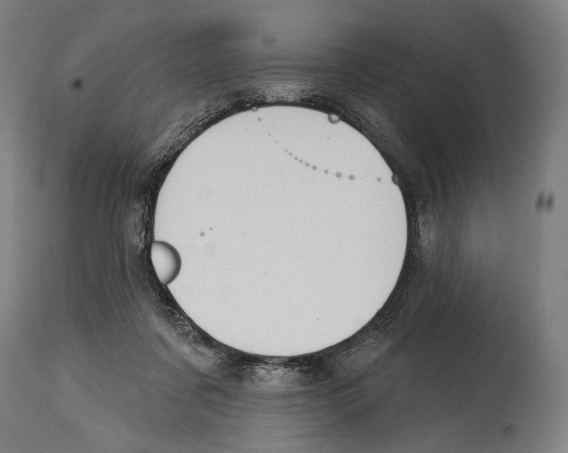 X0000114440311200911131521