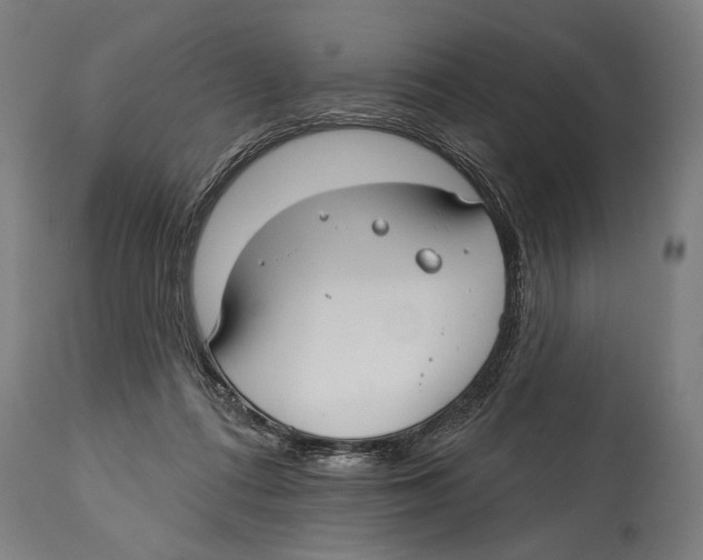 X0000114440312200911131521