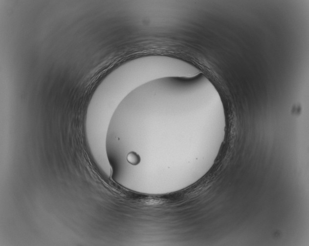 X0000114440313200911131521