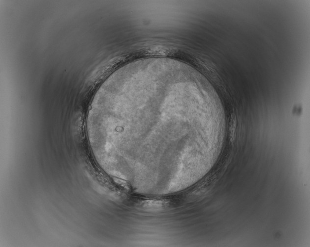 X0000114440314200911131521