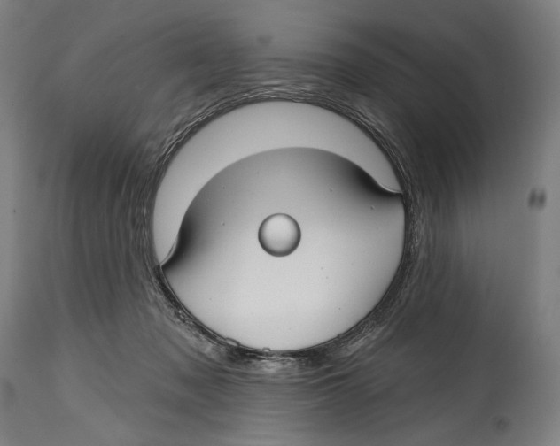 X0000114440317200911131521