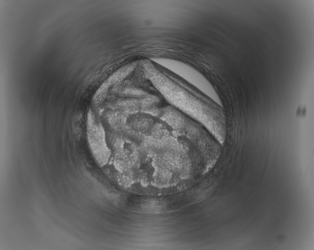 X0000114440319200911131521