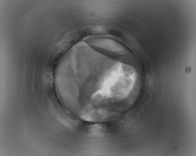 X0000114440320200911131521