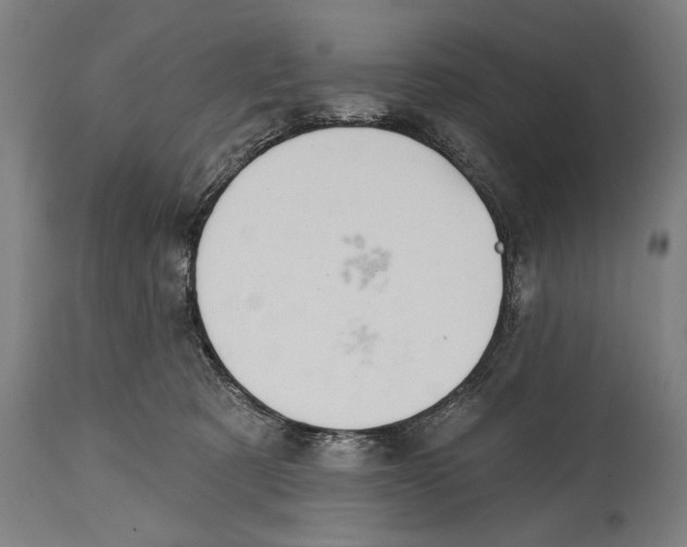 X0000114440321200911131521