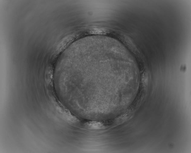 X0000114440322200911131521