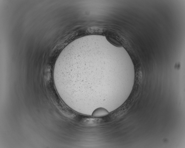 X0000114440323200911131521