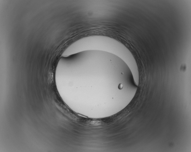 X0000114440324200911131521