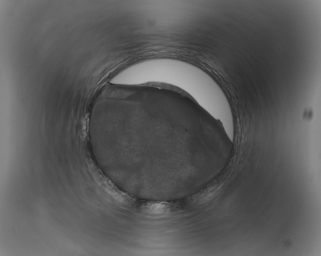X0000114440325200911131521