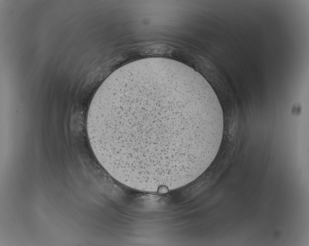 X0000114440326200911131521