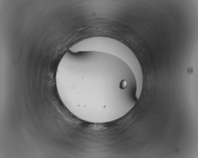 X0000114440327200911131521