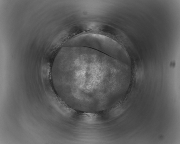 X0000114440328200911131521