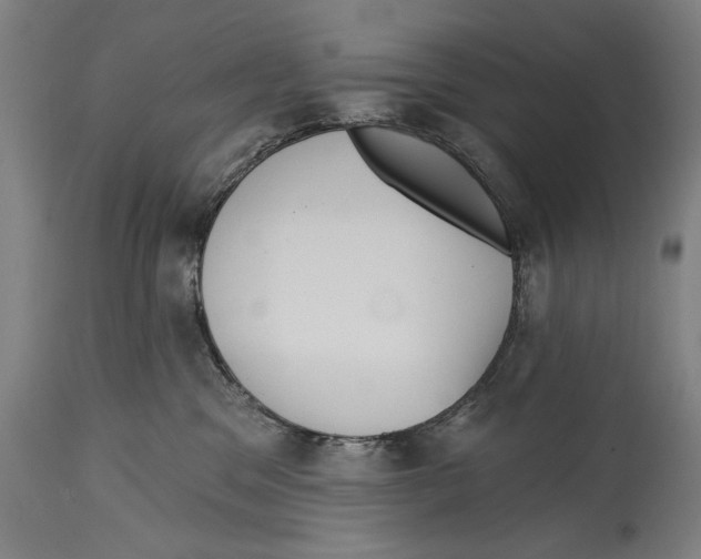 X0000114440329200911131521