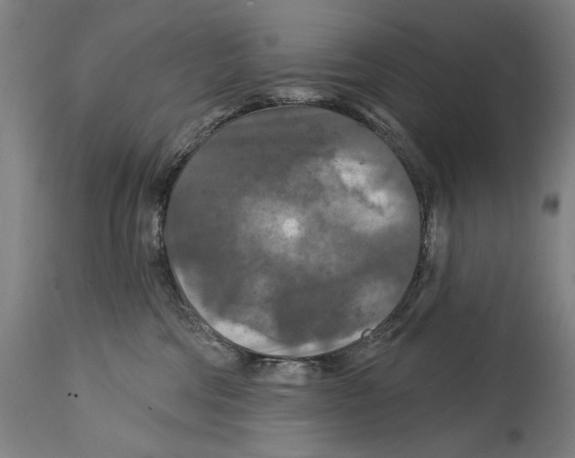 X0000114440330200911131521