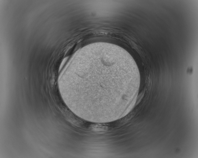 X0000114440331200911131521