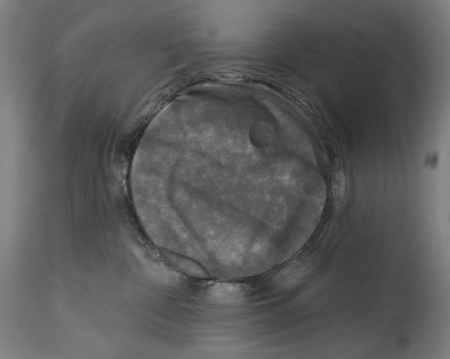 X0000114440332200911131521