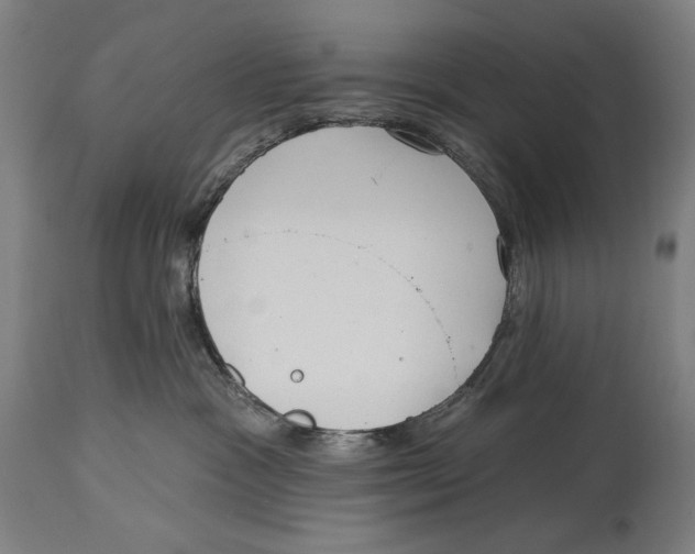 X0000114440333200911131521